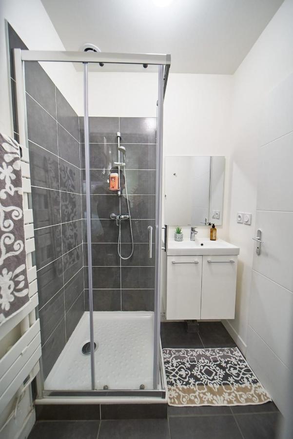 Studio Cosy Valmy- Vaise- Center Of Lyon Exterior photo